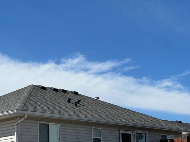 Best Skylight Installation and Repair  in Sissonville, WV